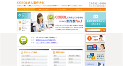 Desktop Screenshot of biz-itengineer.com